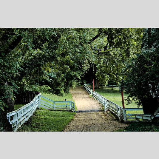 A Colonial Lane, wooden puzzle, 585 pcs