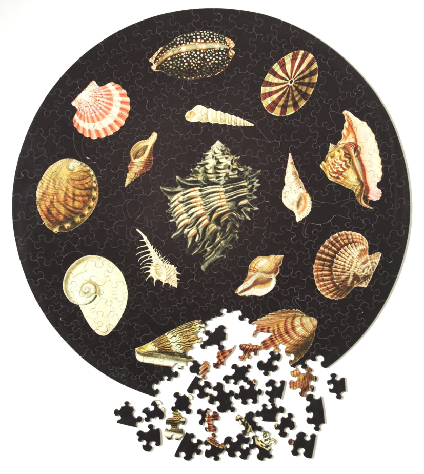 Shells, wooden puzzle, 358 pcs