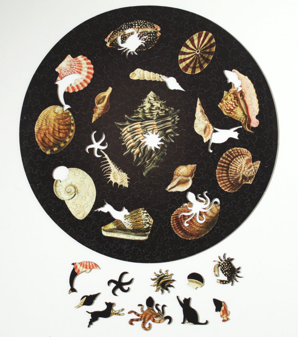 Shells, wooden puzzle, 358 pcs