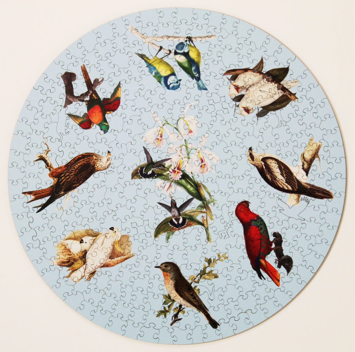 Birds, wooden puzzle, 360 pcs