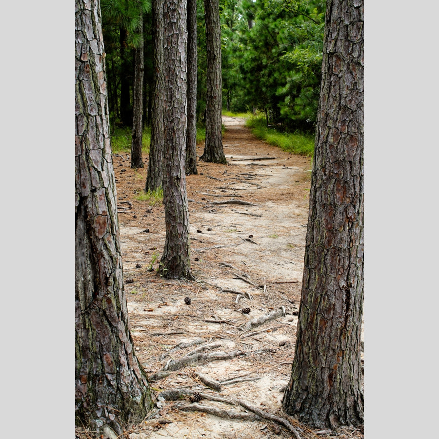 A Road Less Travelled, wooden puzzle, 549 pcs